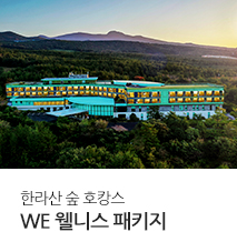 [기획전] 제주 WE호텔 프로모션 기획전